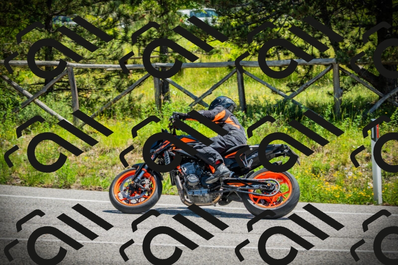 202506021225-DSC04616_c1_