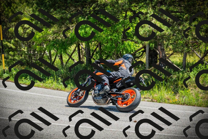 202506021225-DSC04617_c1_