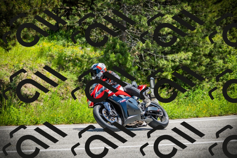 202506021225-DSC04619_c1_