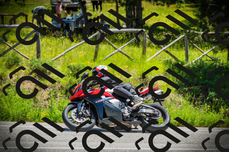 202506021225-DSC04620_c1_