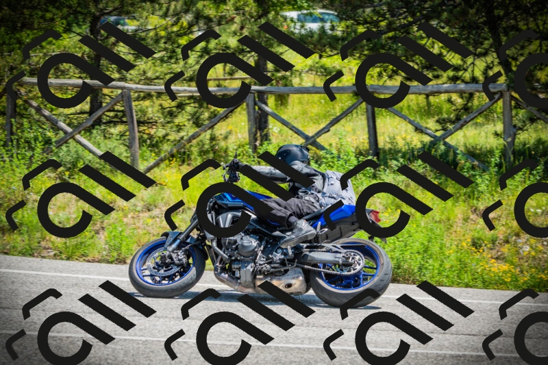 202506021225-DSC04621_c1_