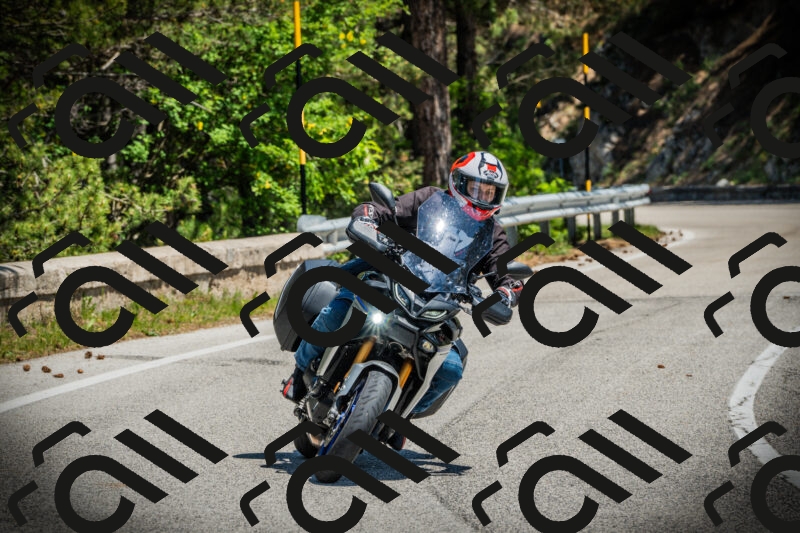 202506021225-DSC04625_c1_