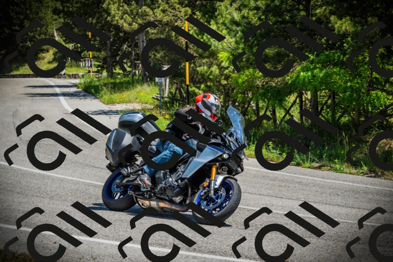 202506021225-DSC04626_c1_