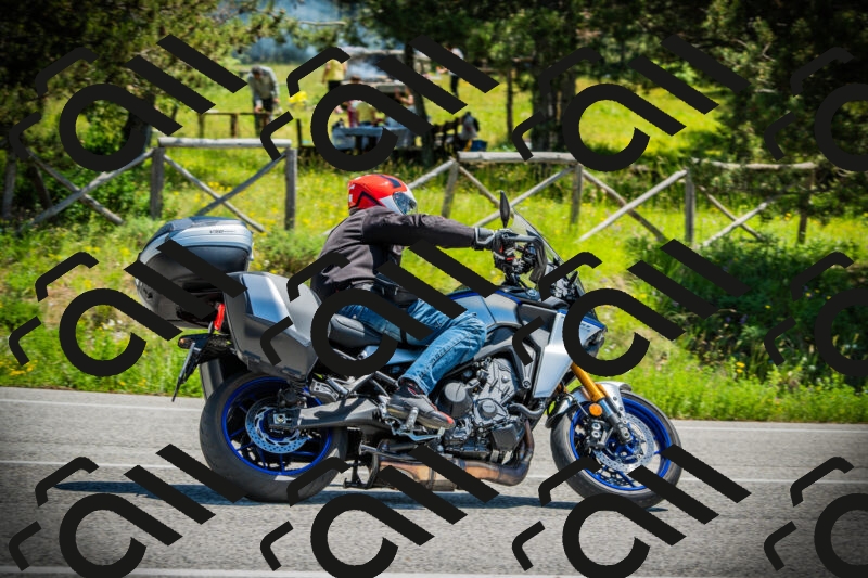 202506021225-DSC04627_c1_