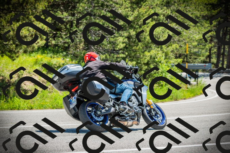 202506021225-DSC04628_c1_