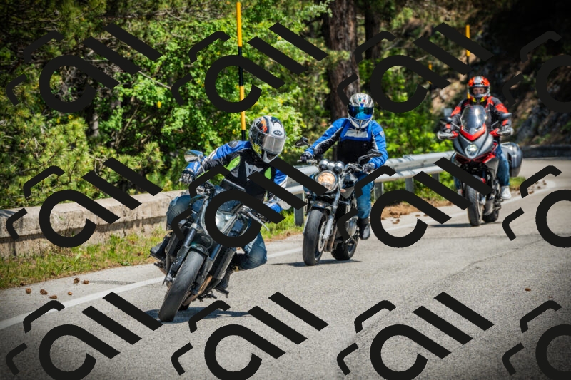 202506021225-DSC04630_c1_