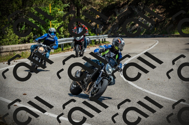 202506021225-DSC04631_c1_