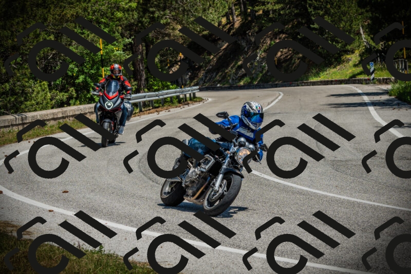 202506021225-DSC04632_c1_