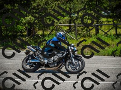 202506021225-DSC04633_c1_