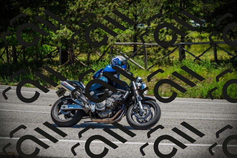 202506021225-DSC04633_c1_