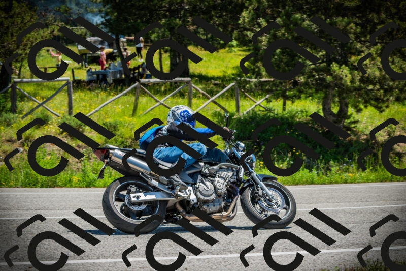 202506021225-DSC04634_c1_