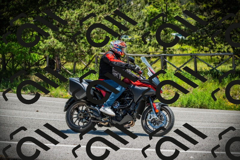 202506021225-DSC04635_c1_