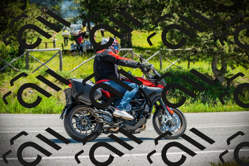 202506021225-DSC04636_c1_