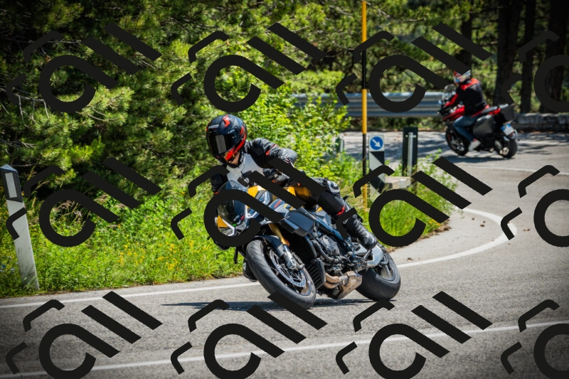 202506021225-DSC04639_c1_