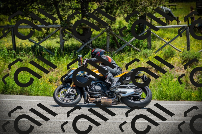 202506021225-DSC04640_c1_