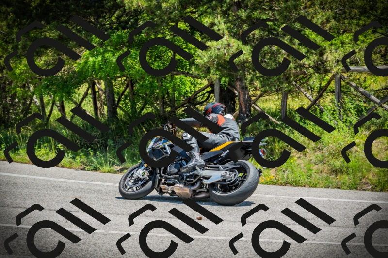 202506021225-DSC04641_c1_