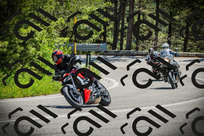 202506021225-DSC04645_c1_