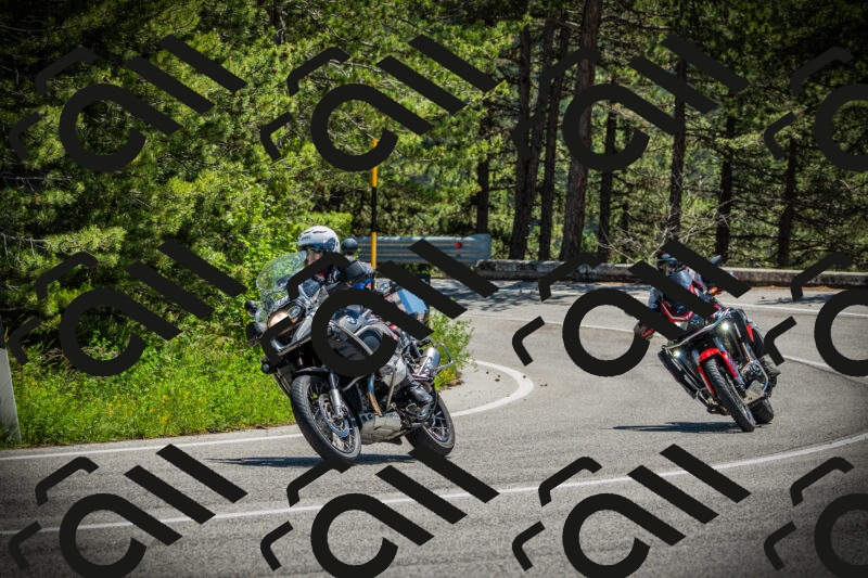 202506021225-DSC04646_c1_