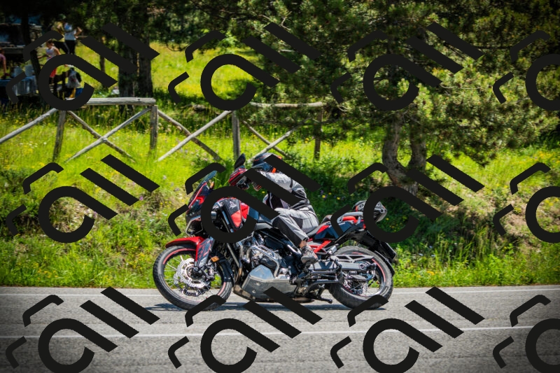 202506021225-DSC04648_c1_