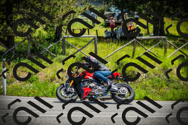 202506021225-DSC04650_c1_