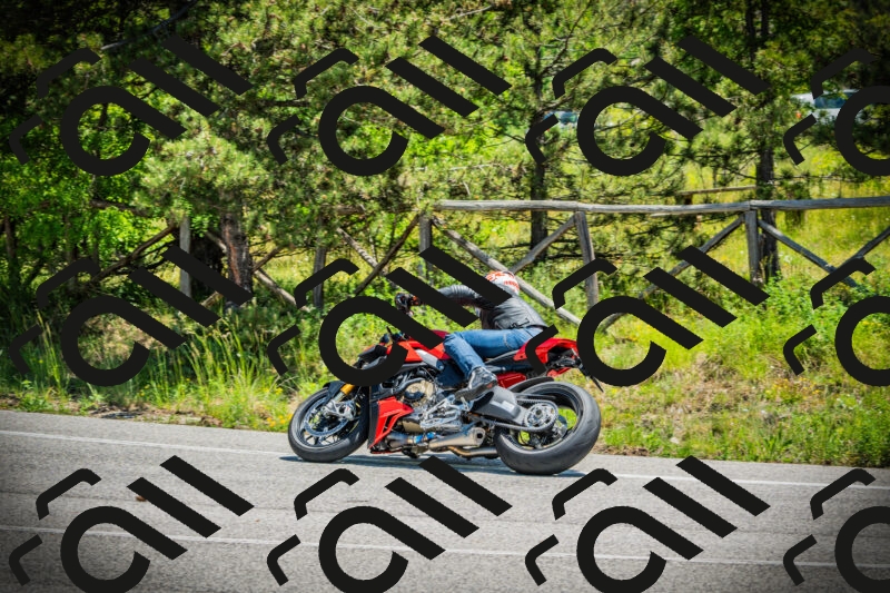 202506021225-DSC04651_c1_