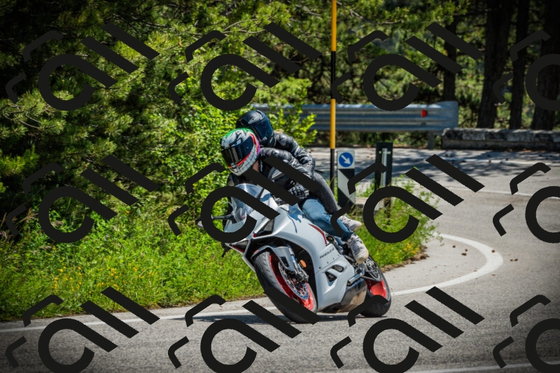 202506021226-DSC04657_c1_