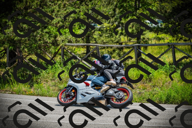 202506021226-DSC04659_c1_