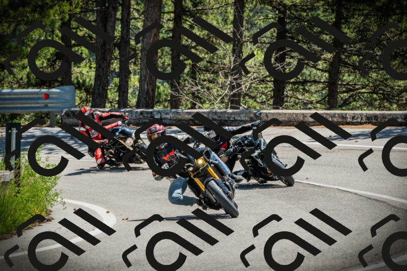 202506021227-DSC04661_c1_