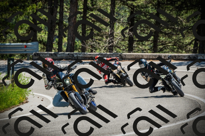 202506021227-DSC04662_c1_