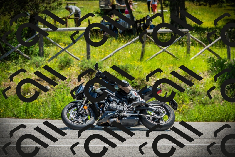 202506021227-DSC04665_c1_