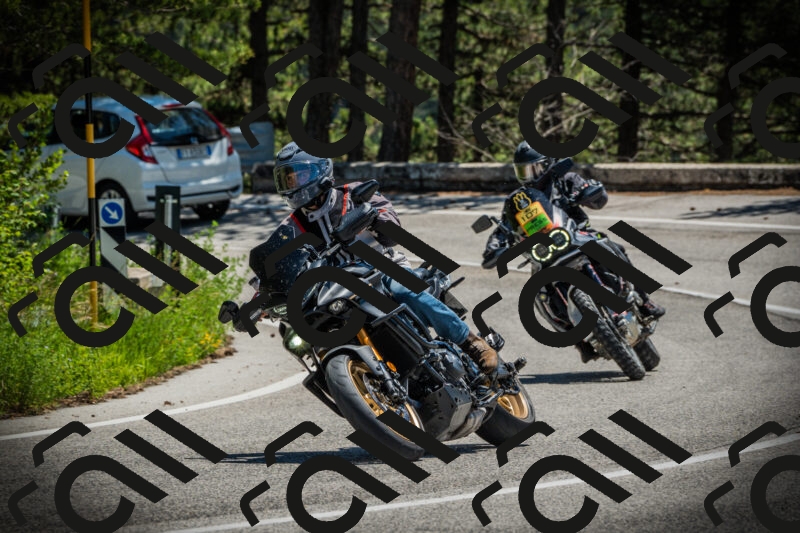 202506021228-DSC04671_c1_