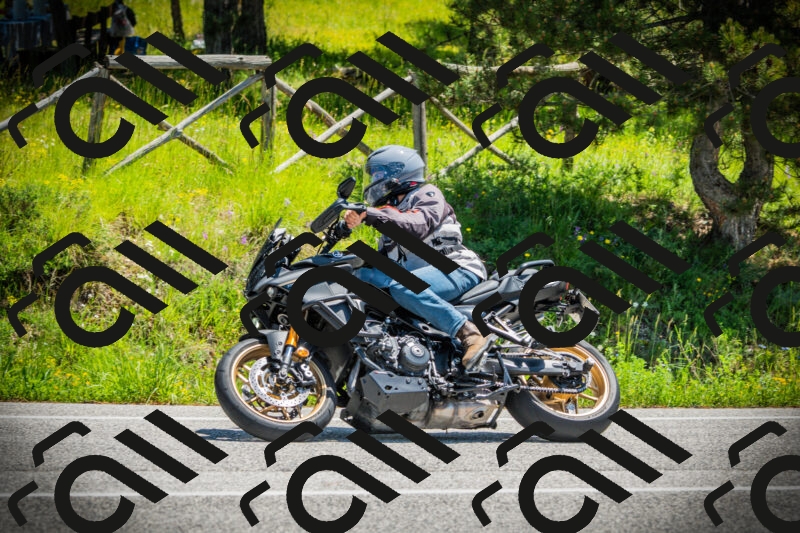 202506021228-DSC04672_c1_