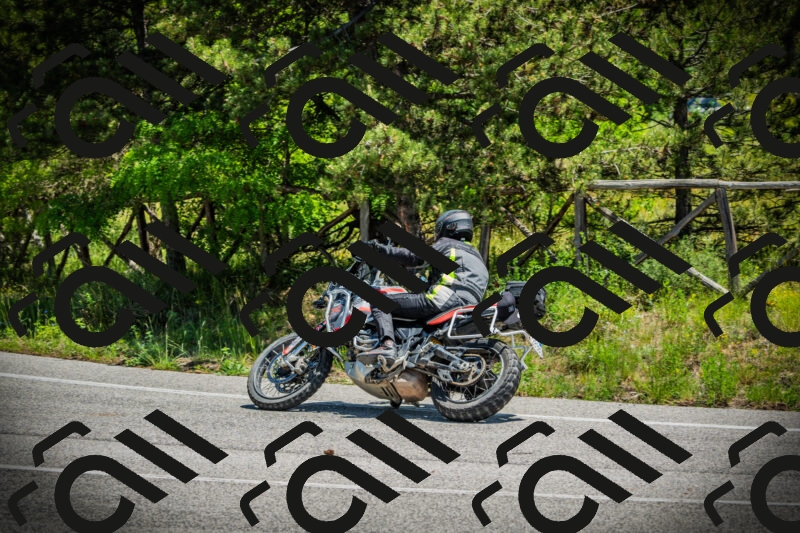 202506021228-DSC04674_c1_