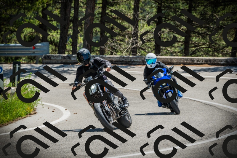 202506021228-DSC04676_c1_