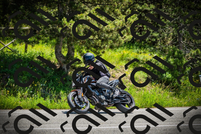 202506021228-DSC04677_c1_