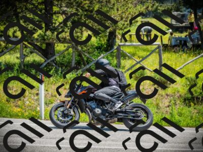 202506021228-DSC04678_c1_