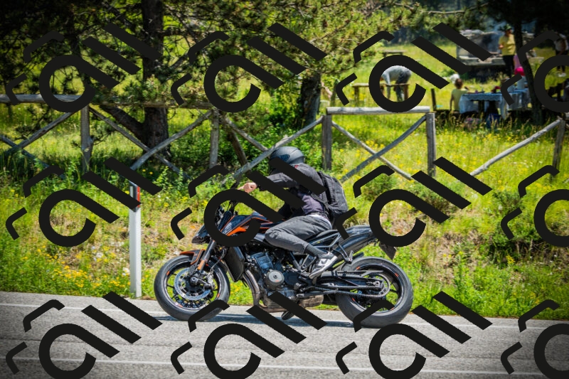 202506021228-DSC04678_c1_