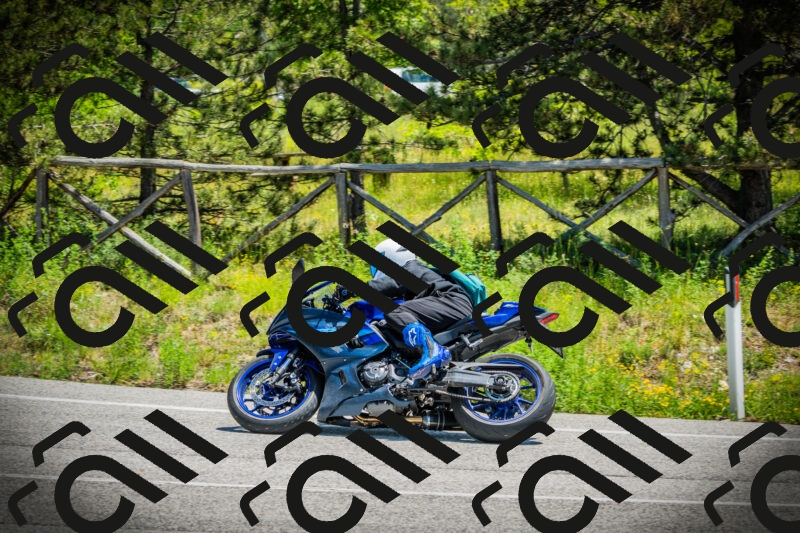 202506021228-DSC04679_c1_