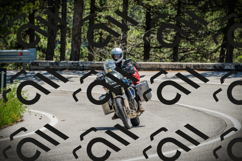 202506021228-DSC04682_c1_