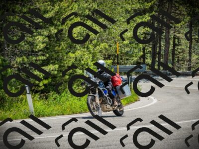 202506021228-DSC04683_c1_