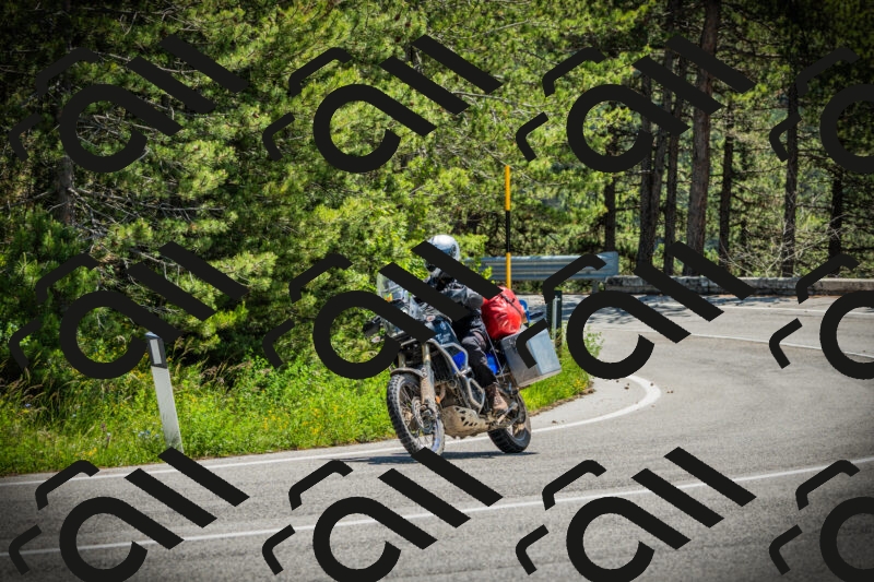 202506021228-DSC04683_c1_