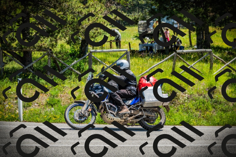 202506021228-DSC04684_c1_