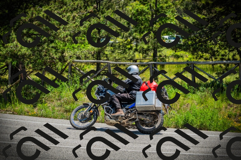 202506021228-DSC04685_c1_