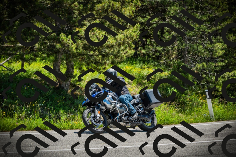 202506021228-DSC04689_c1_