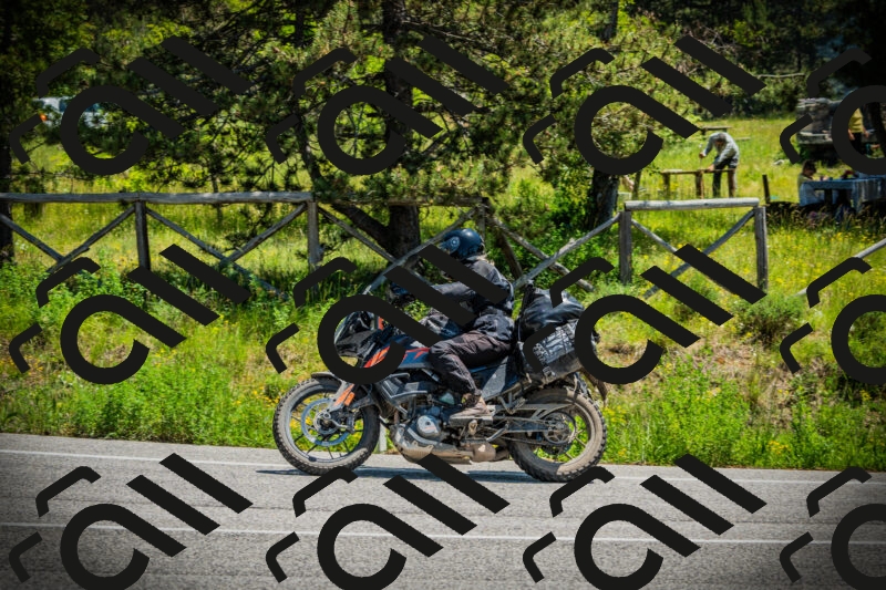 202506021228-DSC04692_c1_