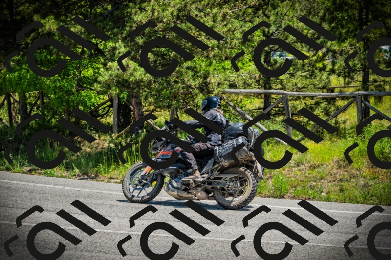 202506021228-DSC04693_c1_