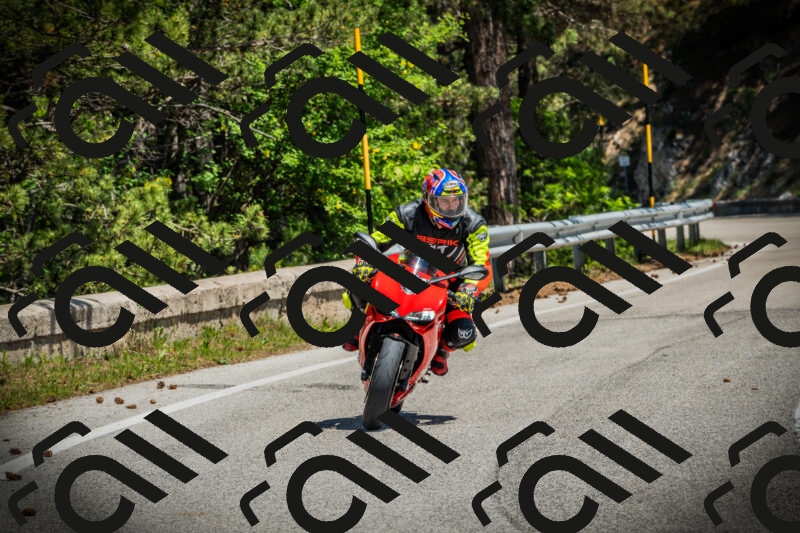 202506021229-DSC04695_c1_