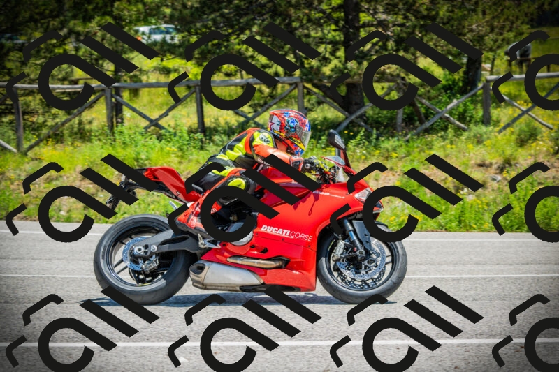 202506021229-DSC04698_c1_