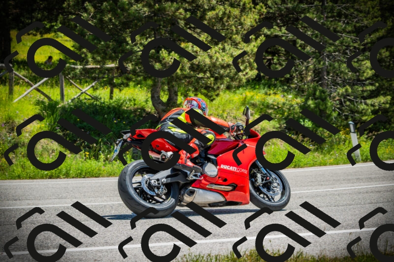 202506021229-DSC04699_c1_