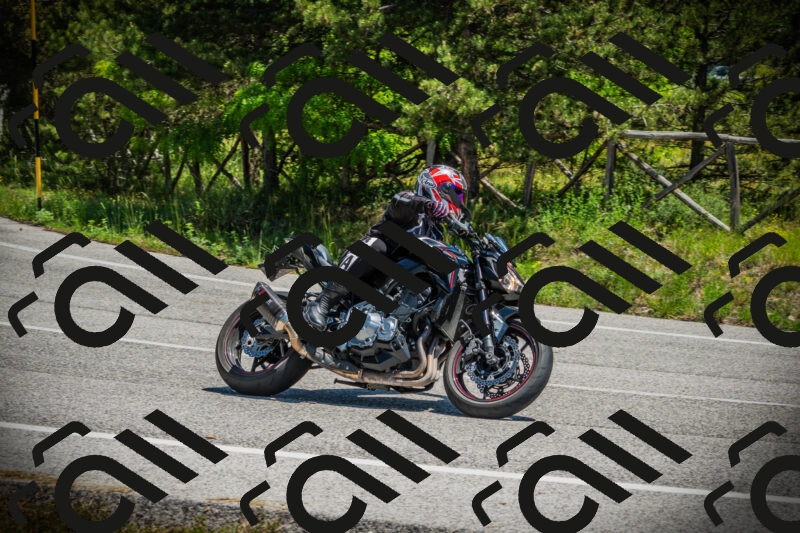 202506021230-DSC04701_c1_